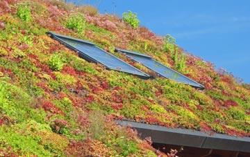 Warborough living roof systems