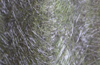 Warborough fibreglass roof work